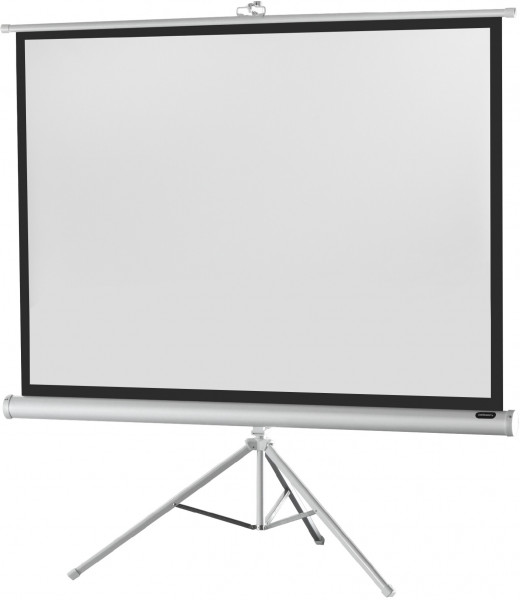 Ecran de projection sur pied celexon Economy 244 x 183 cm - White Edition
