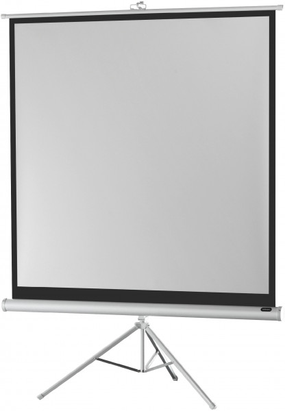 Ecran de projection sur pied celexon Economy 244 x 244 cm - White Edition